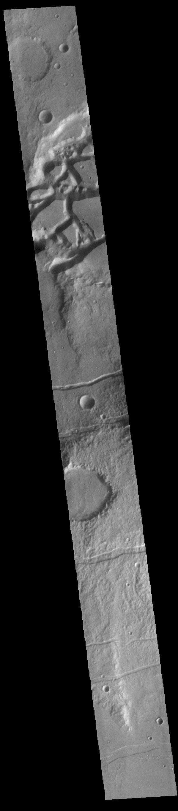 NASA image: Mangala Fossae