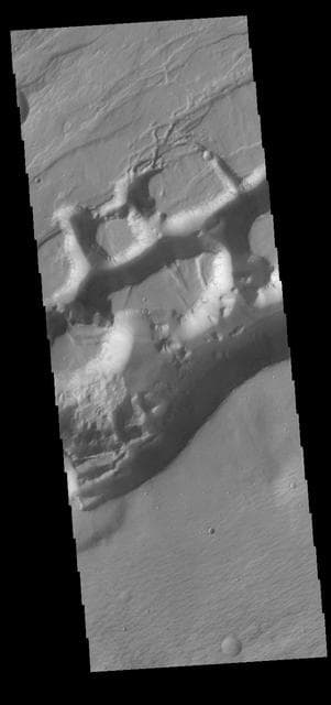 NASA image: Sirenum Fossae
