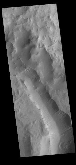 NASA image: Maunder Crater