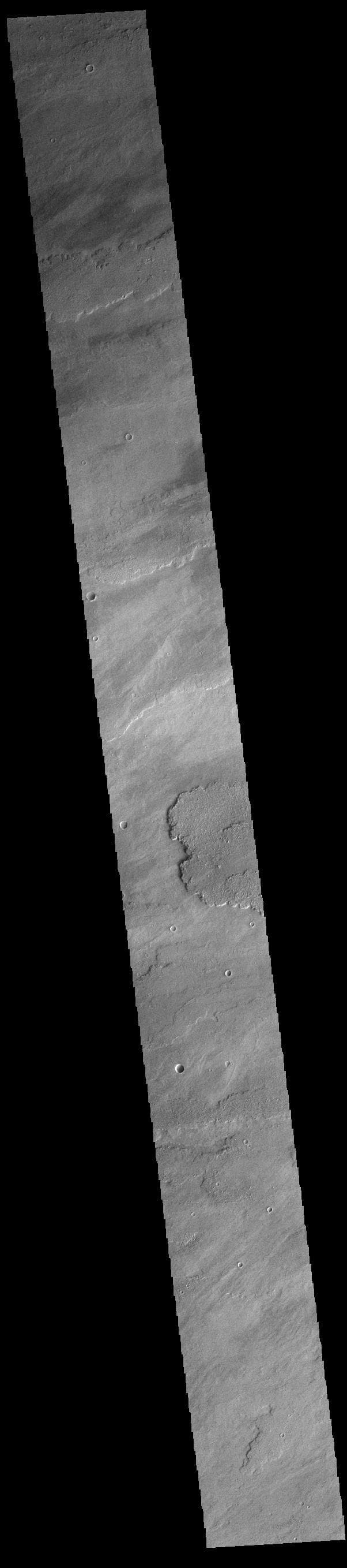 NASA image: Daedalia Planum
