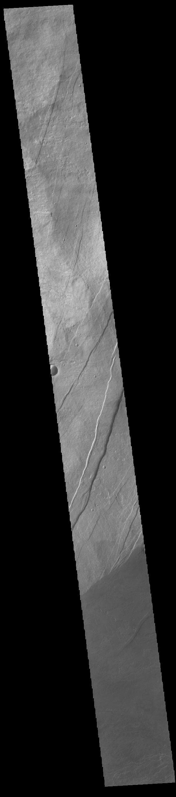 NASA image: Arsia Mons