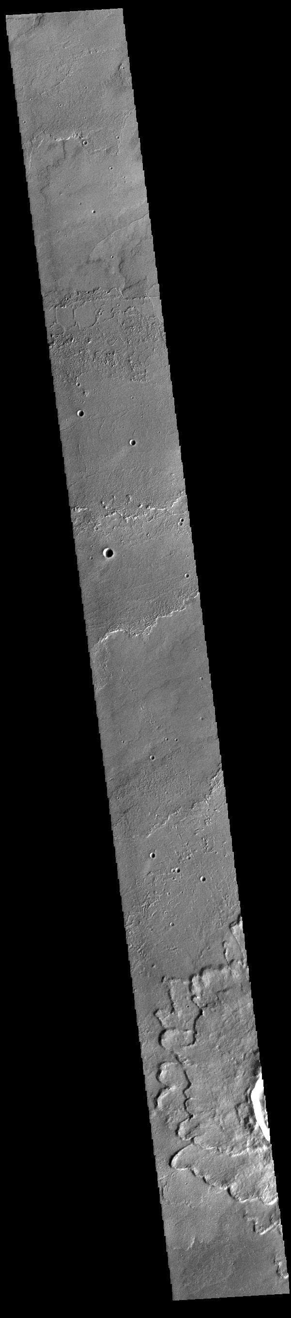 NASA image: Daedalia Planum