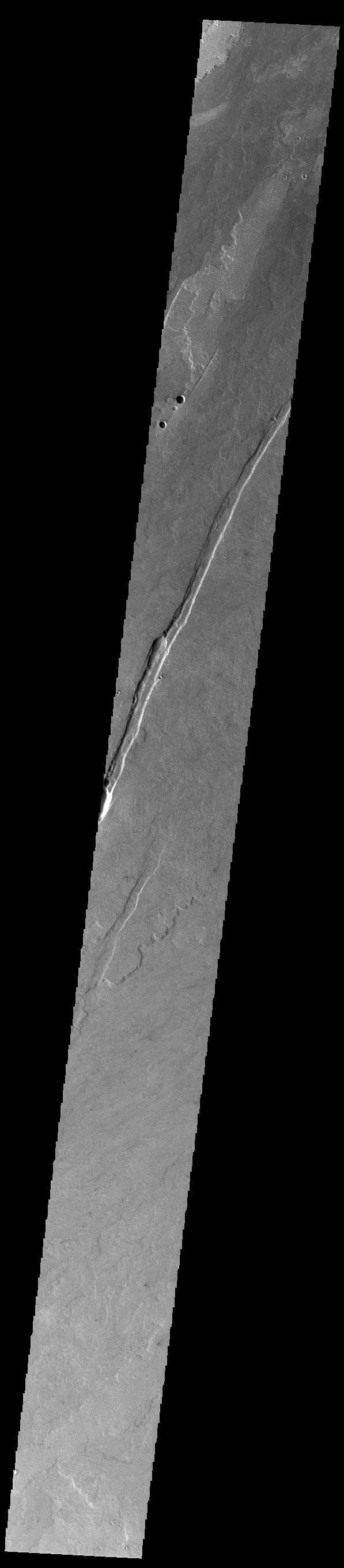 NASA image: Daedalia Planum