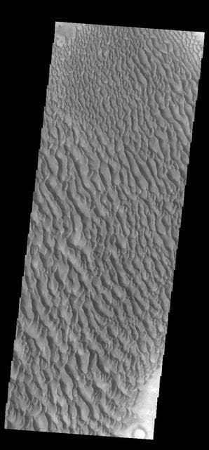 NASA image: Proctor Crater Dunes