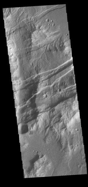 NASA image: Sirenum Fossae