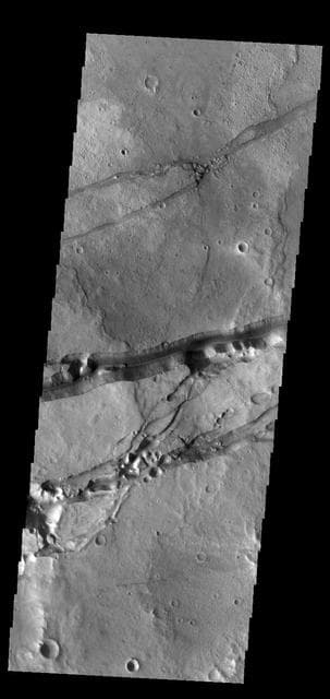 NASA image: Sirenum Fossae