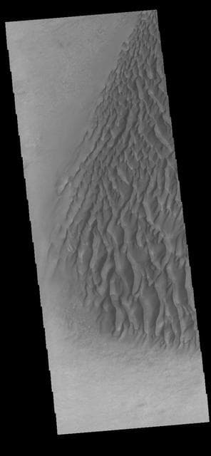 NASA image: Proctor Crater Dunes