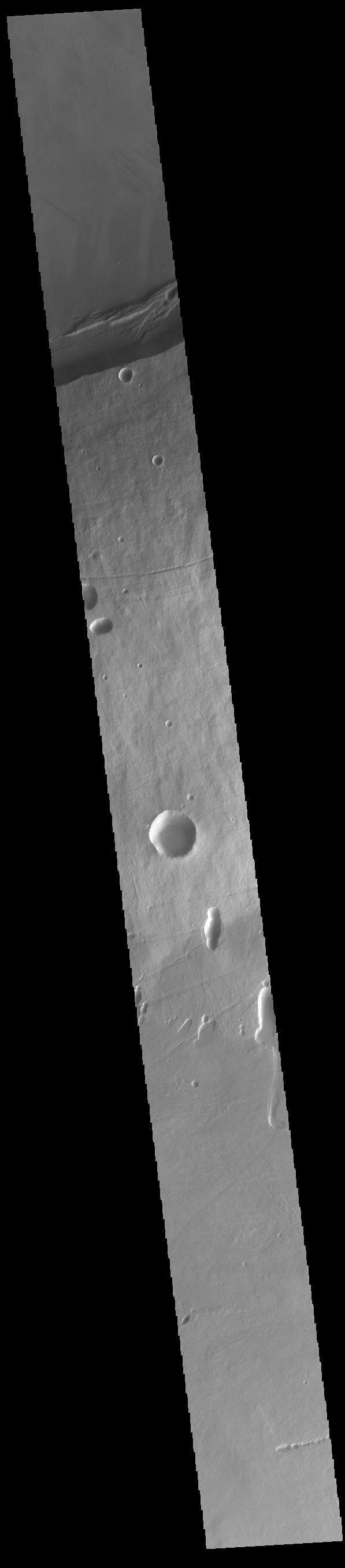 NASA image: Arsia Mons
