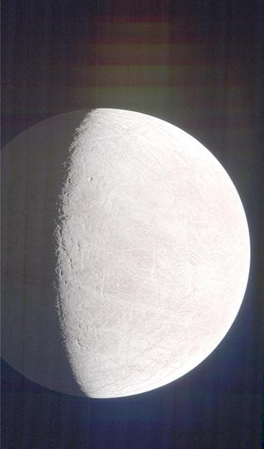 Looking for Eruptions at Jupiter's Moon Europa