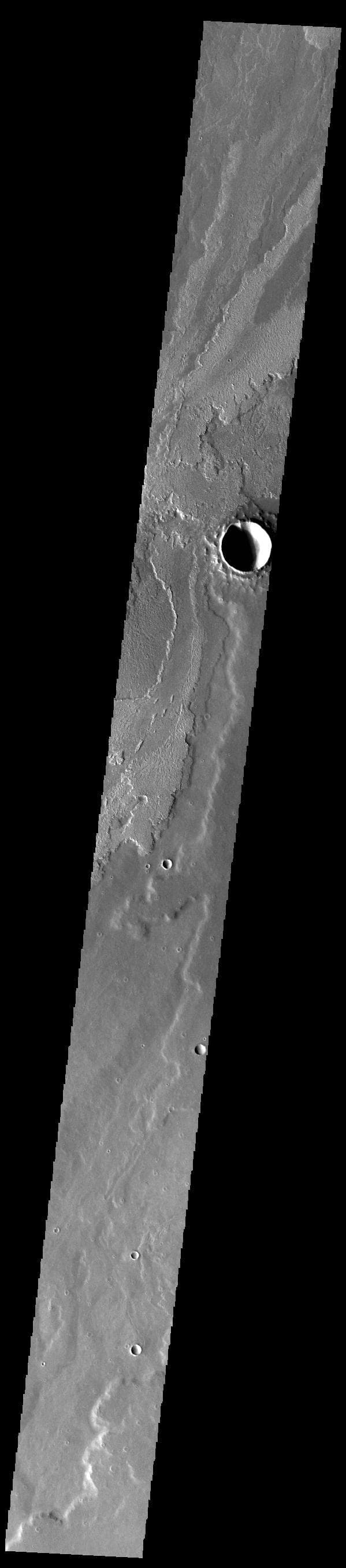 NASA image: Daedalia Planum