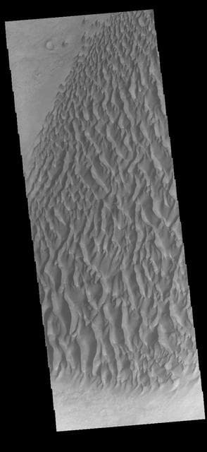 NASA image: Proctor Crater Dunes