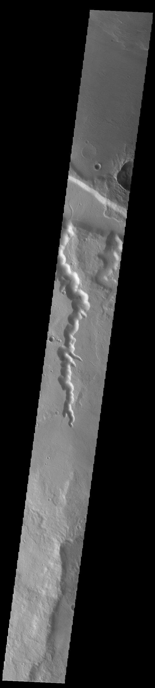 NASA image: Abus and Senus Valles