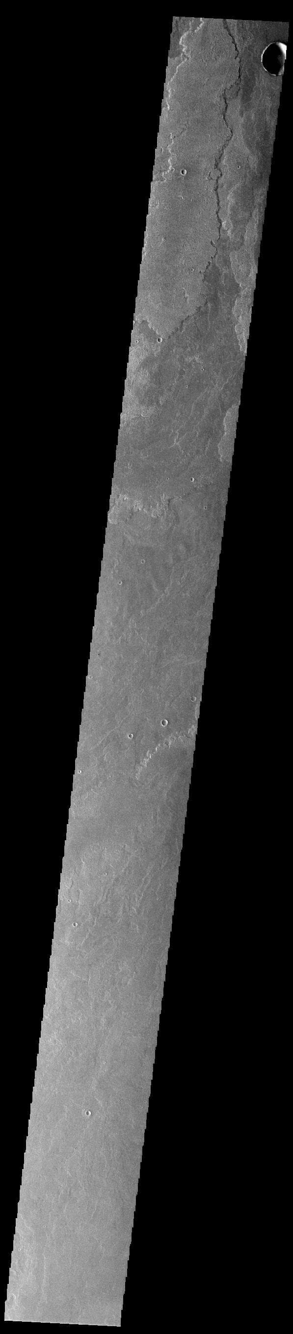NASA image: Daedalia Planum