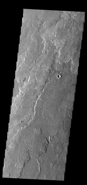 NASA image: Daedalia Planum