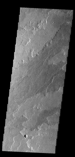 NASA image: Daedalia Planum