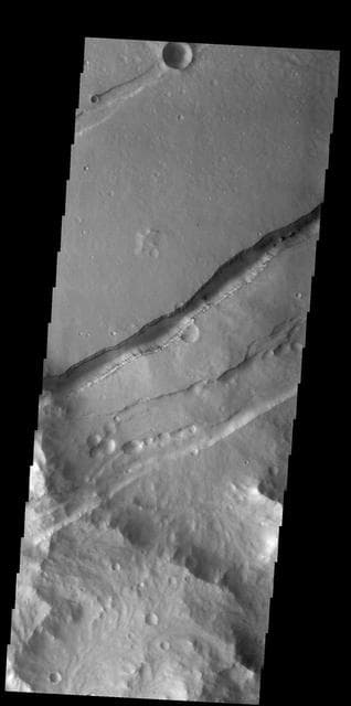NASA image: Sirenum Fossae