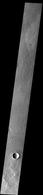 NASA image: Daedalia Planum