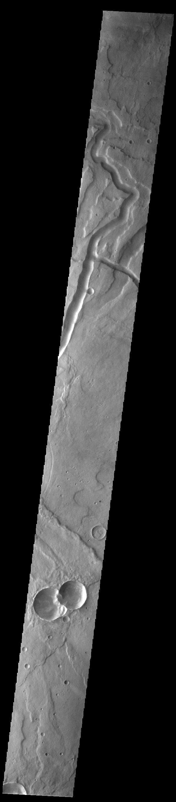 NASA image: Tyrrhenus Mons