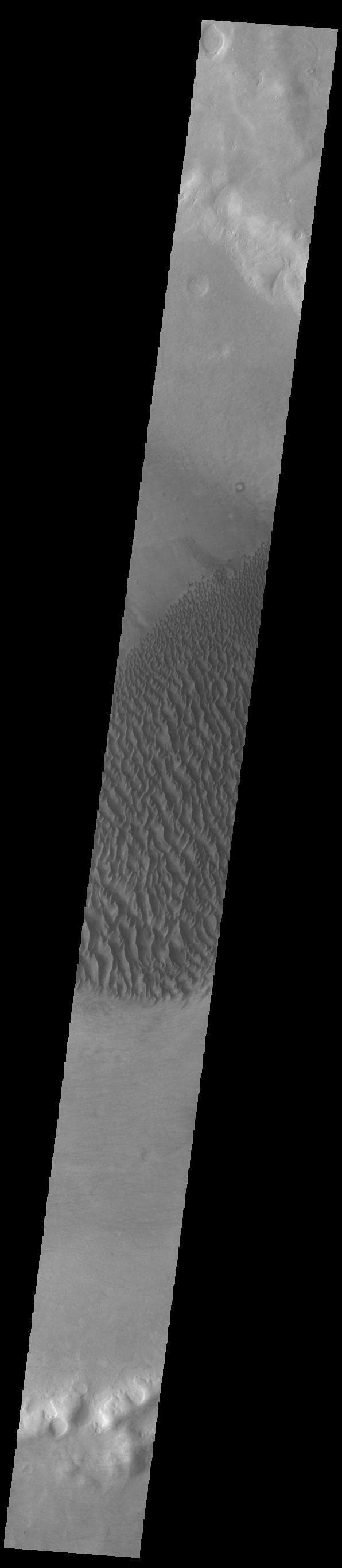 NASA image: Proctor Crater Dunes