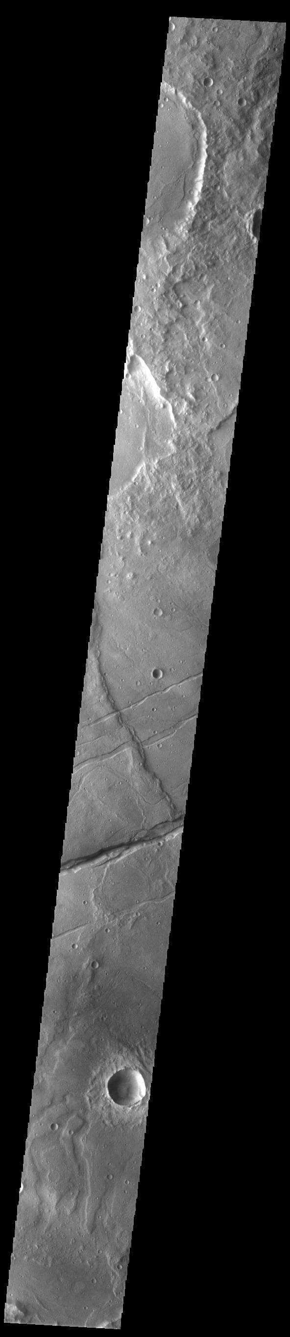 NASA image: Sirenum Fossae