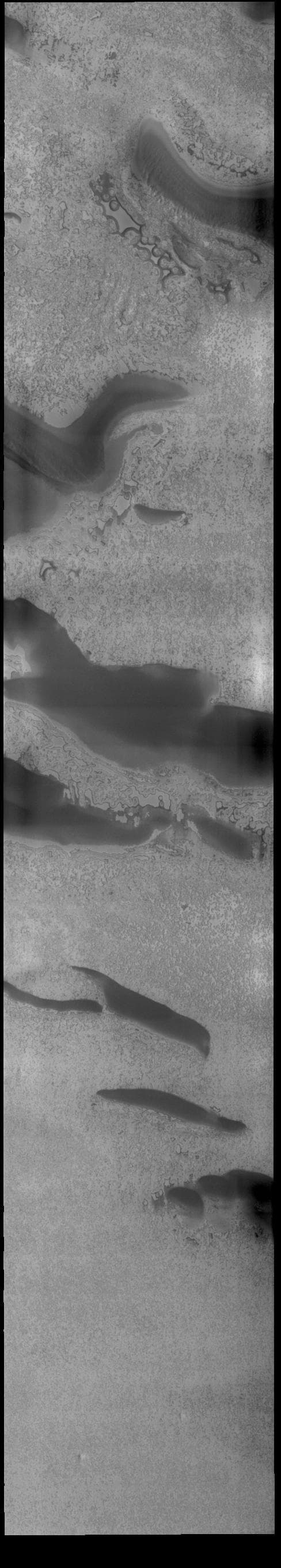 NASA image:  South Polar Ice