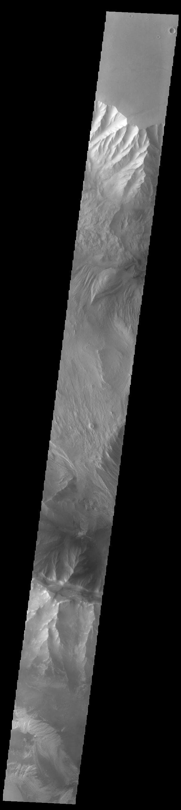 NASA image: Ophir and Candor Chasmata