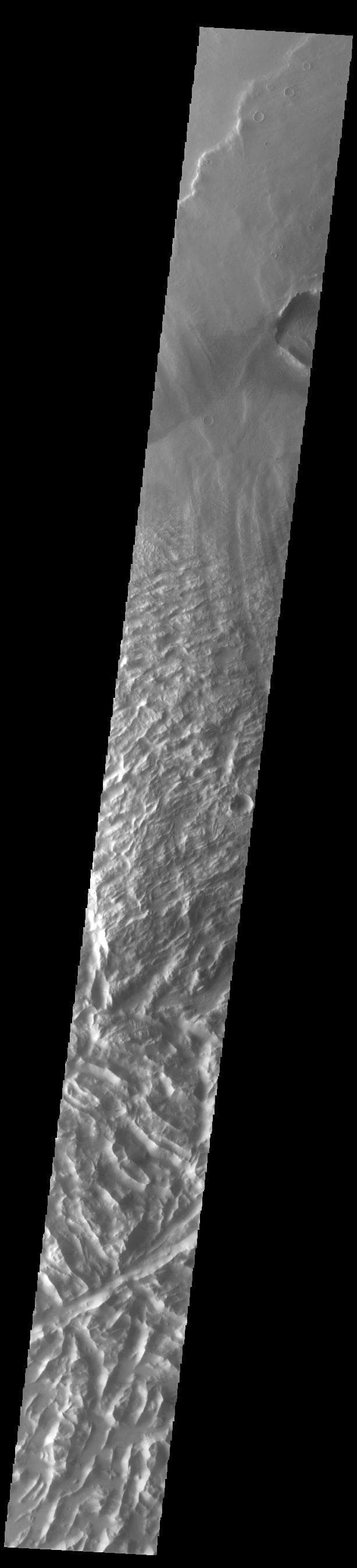 NASA image: Lycus Sulci