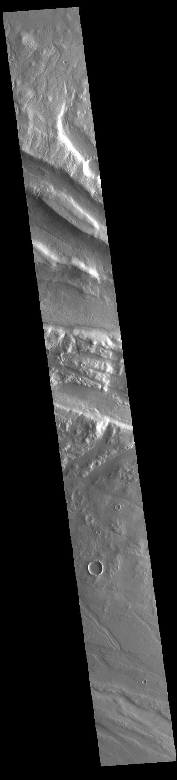 NASA image: Acheron Fossae