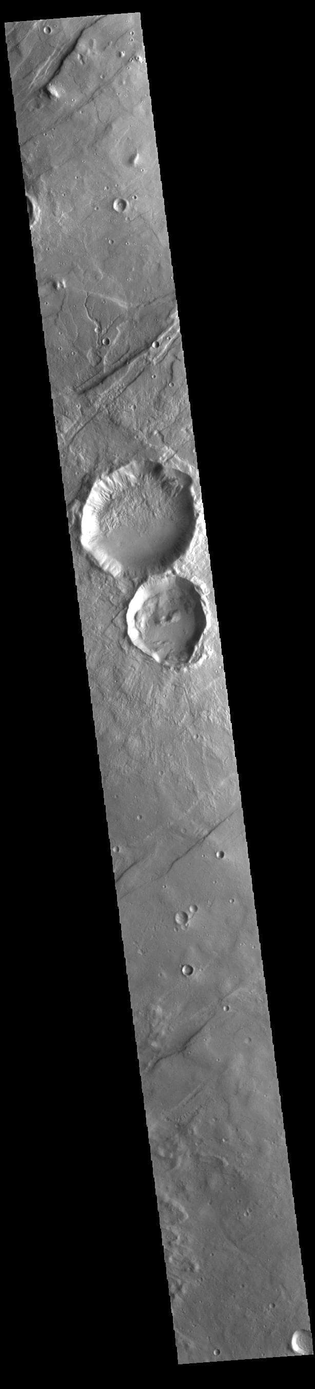 NASA image: Tempe Terra Craters