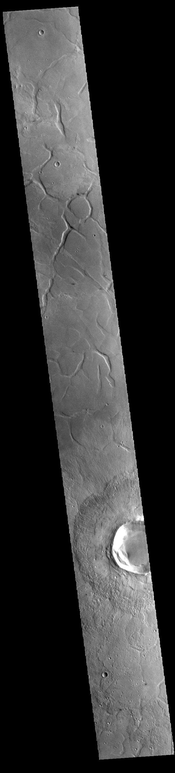 NASA image: Adamas Labyrinthus