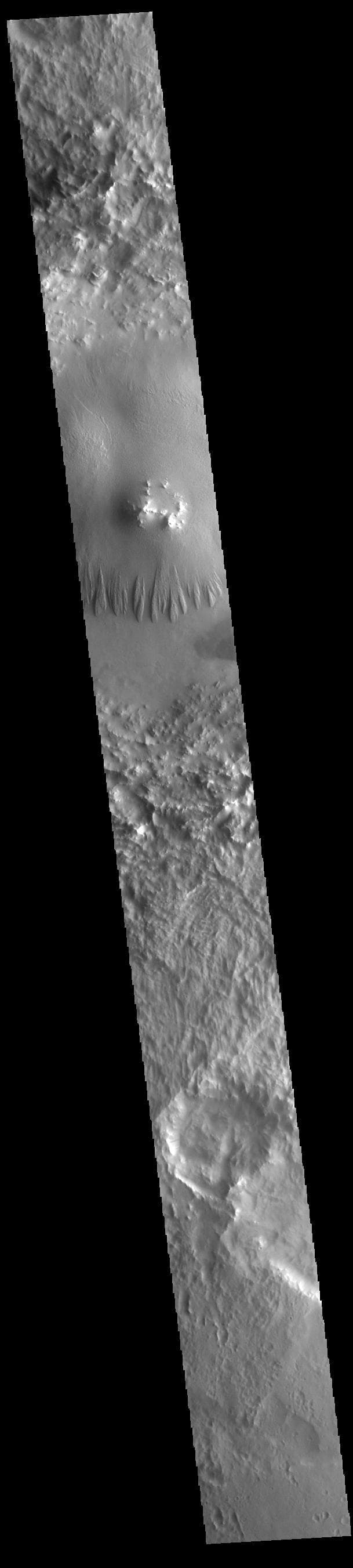 NASA image: Terra Sabaea Crater