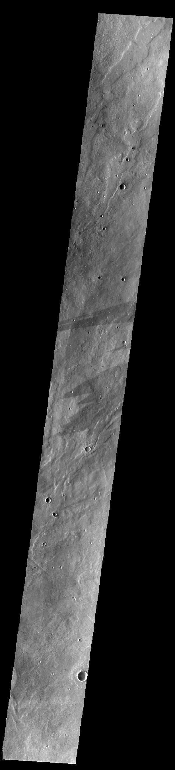 NASA image: Alba Mons Dark Streaks