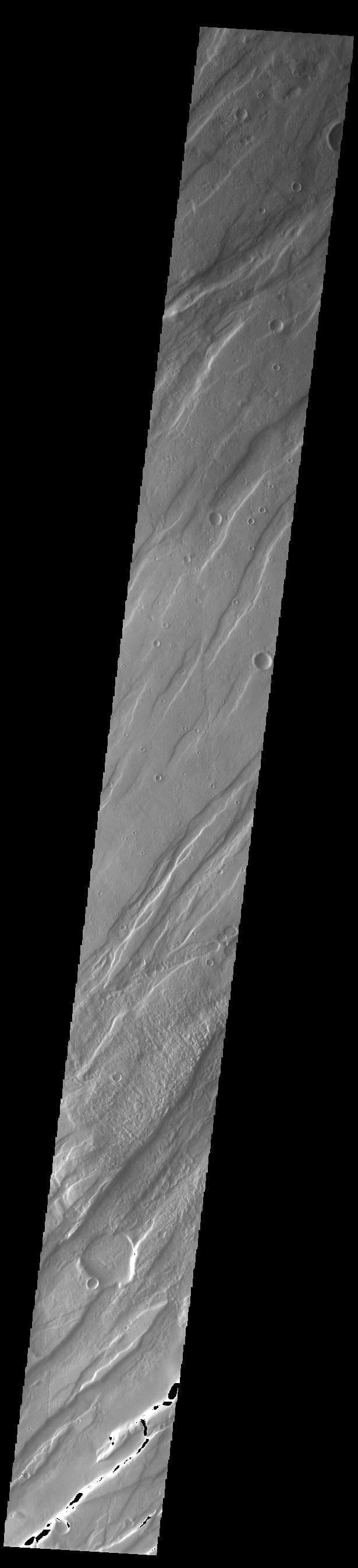 NASA image: Tempe Fossae