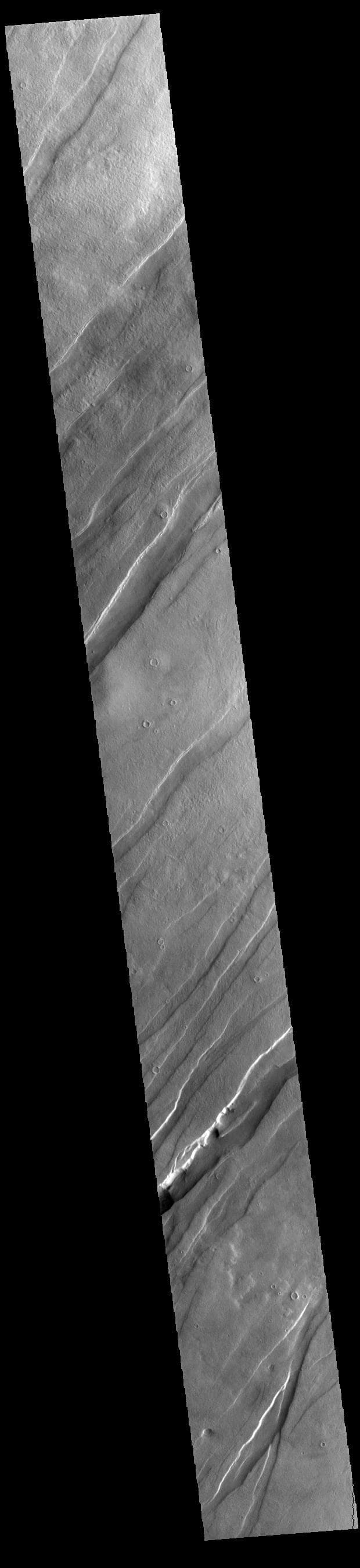 NASA image: Tantalus Fossae