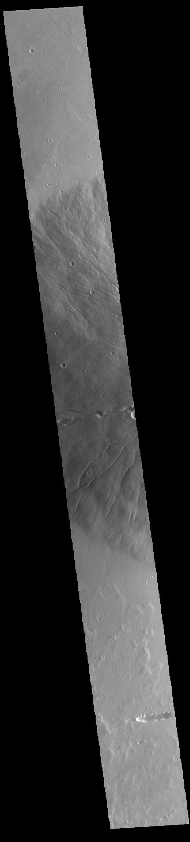 NASA image: Ceraunius Tholus