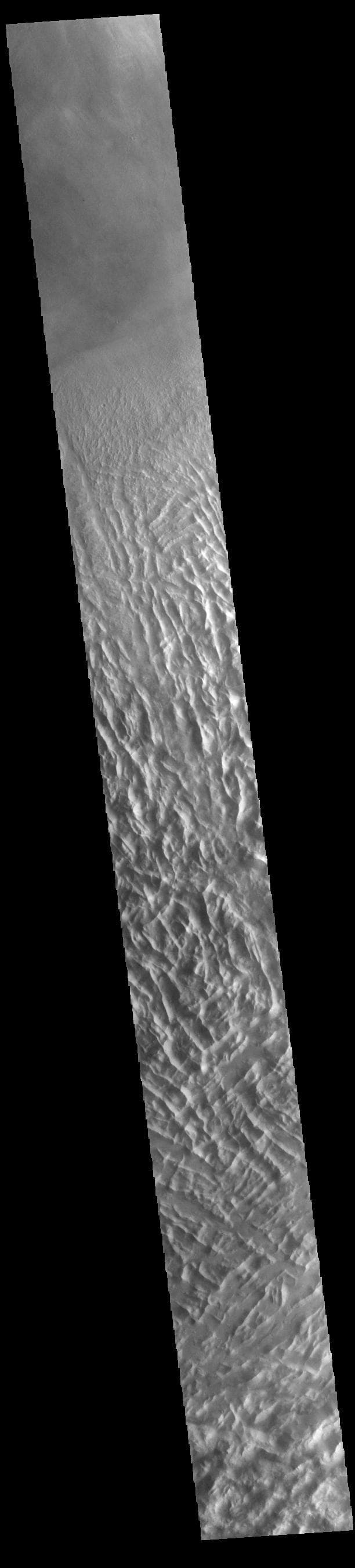 NASA image: Lycus Sulci