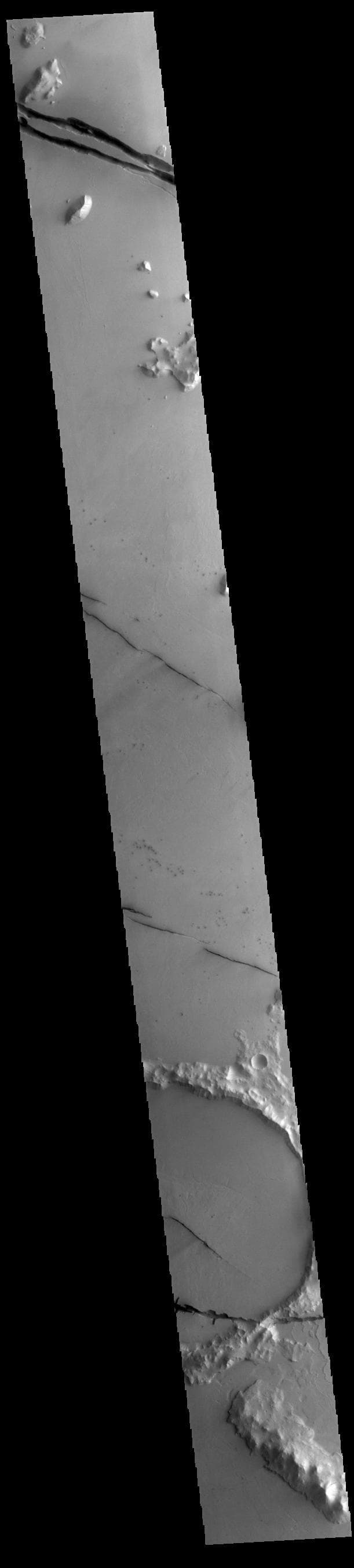 NASA image: Cerberus Fossae