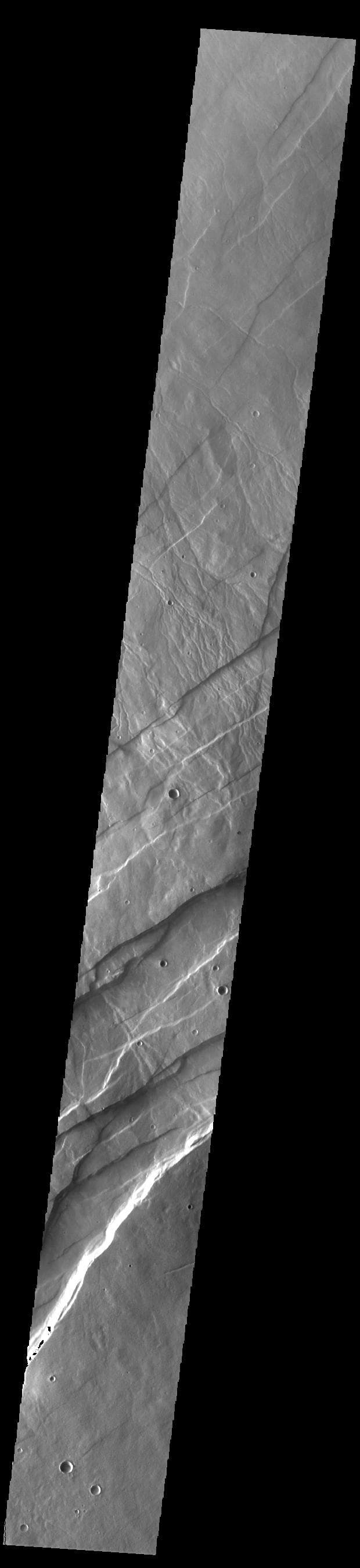 NASA image: Alba Fossae