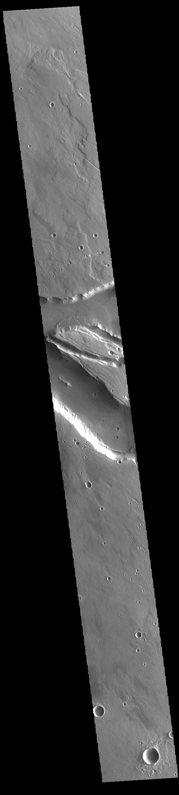 NASA image: Elysium Fossae