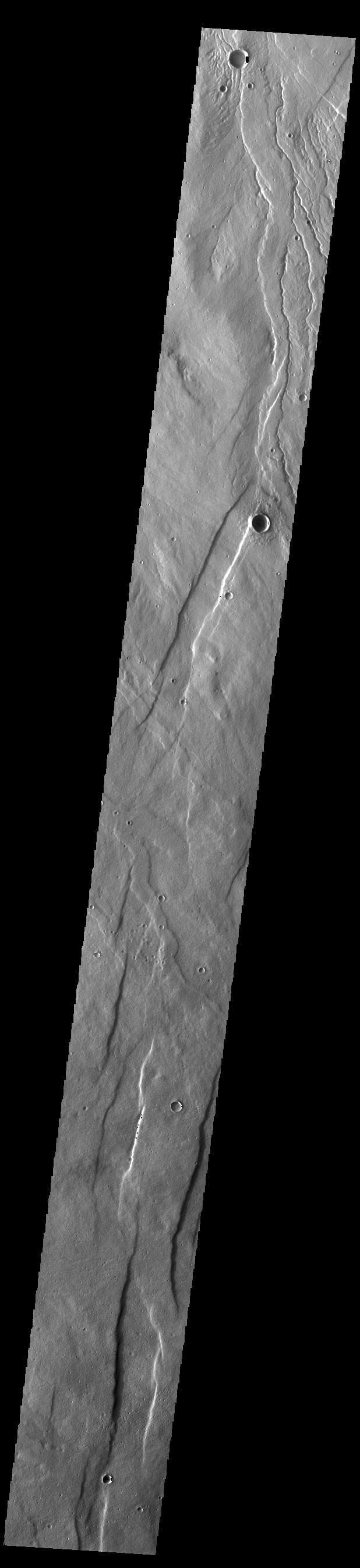 NASA image: Alba Fossae