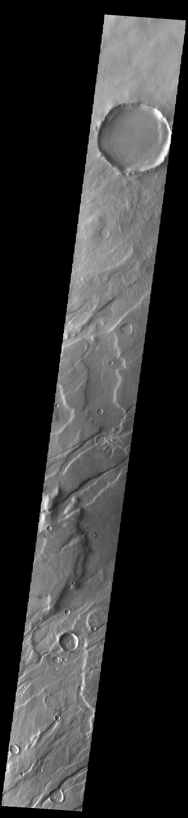 NASA image: Mareotis Fossae