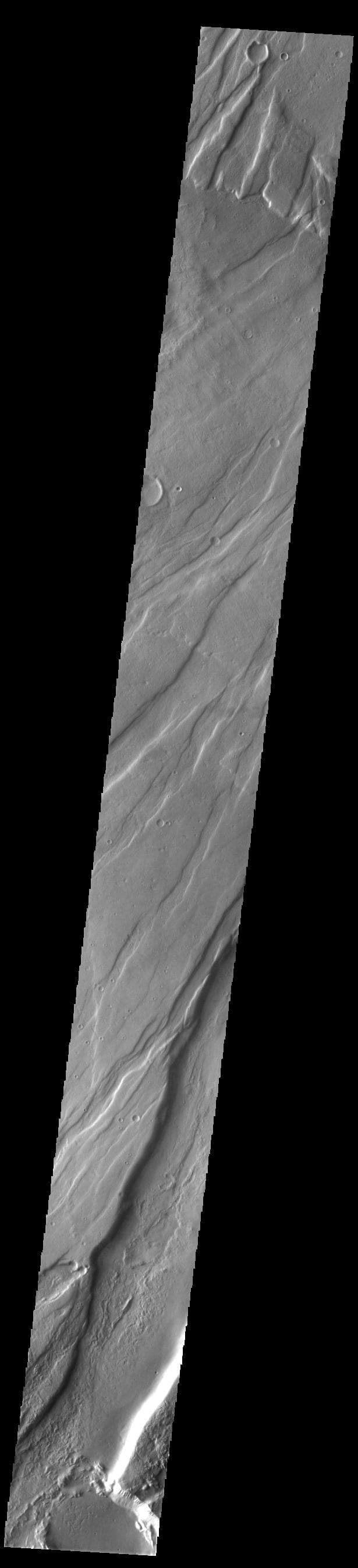 NASA image: Tempe Fossae