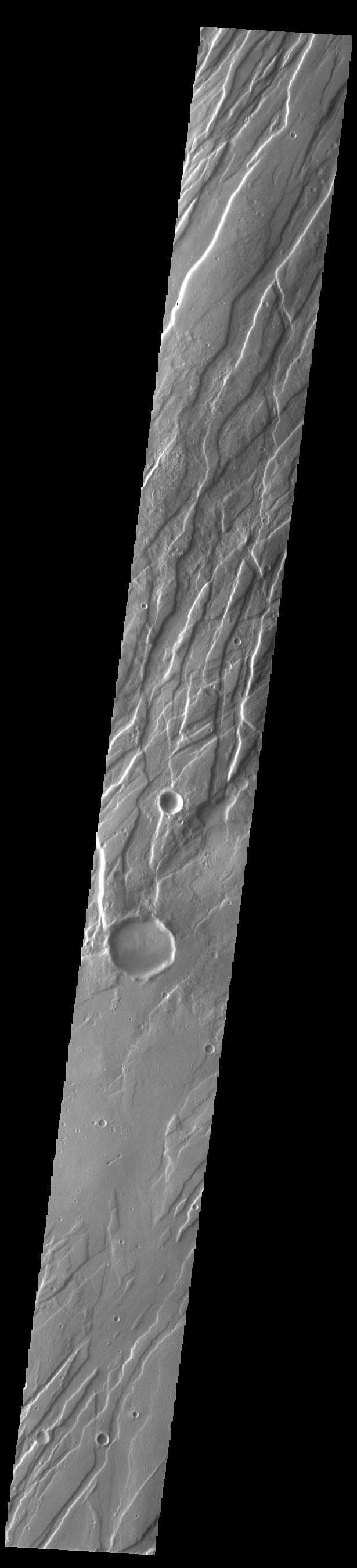 NASA image: Tempe Fossae