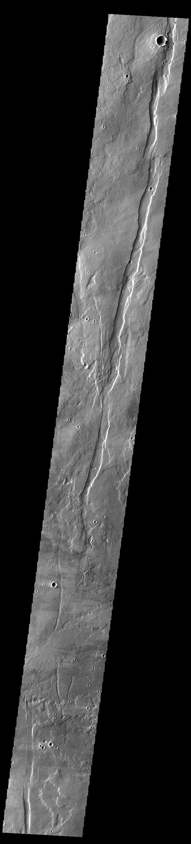 NASA image: Ceraunius Fossae