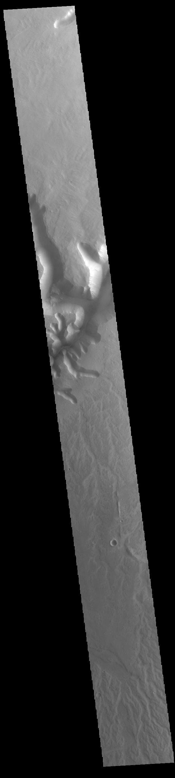 NASA image: Channel