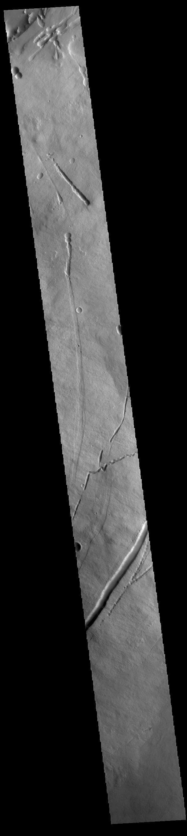 NASA image: Pavonis Mons Flank