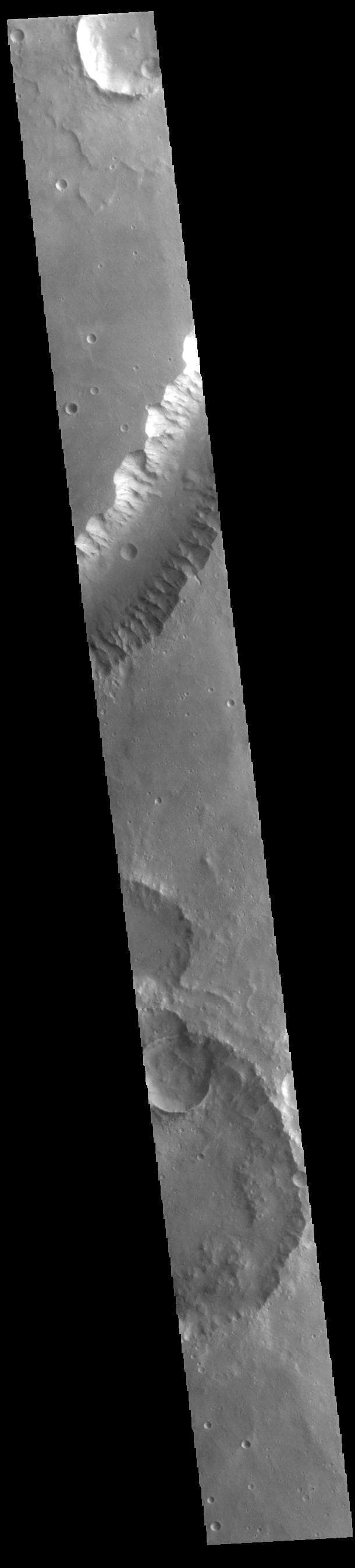 NASA image: Shalbatana Vallis
