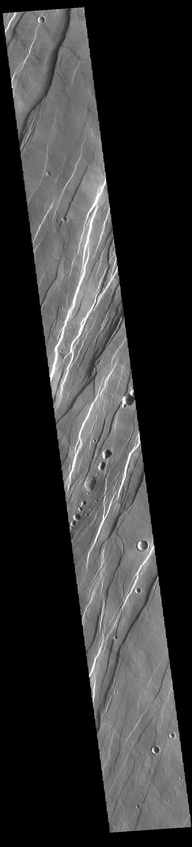 NASA image: Tantalus Fossae