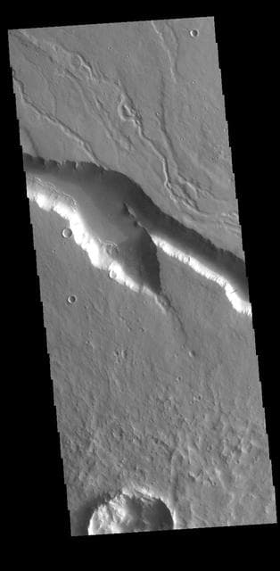 NASA image: Elysium Fossae