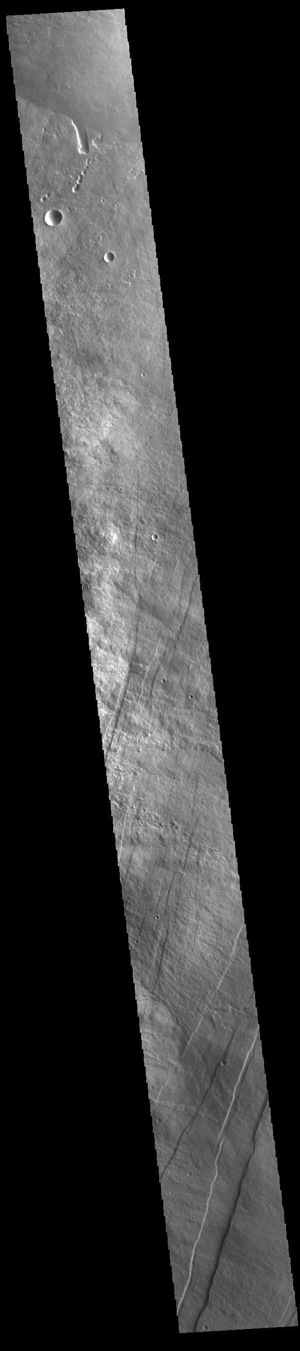 NASA image: Oti Fossae